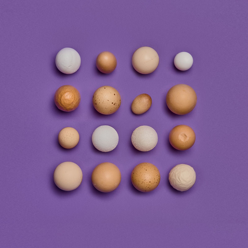 Schmatztruckli Produkte Zutaten Eier Bio Qualität